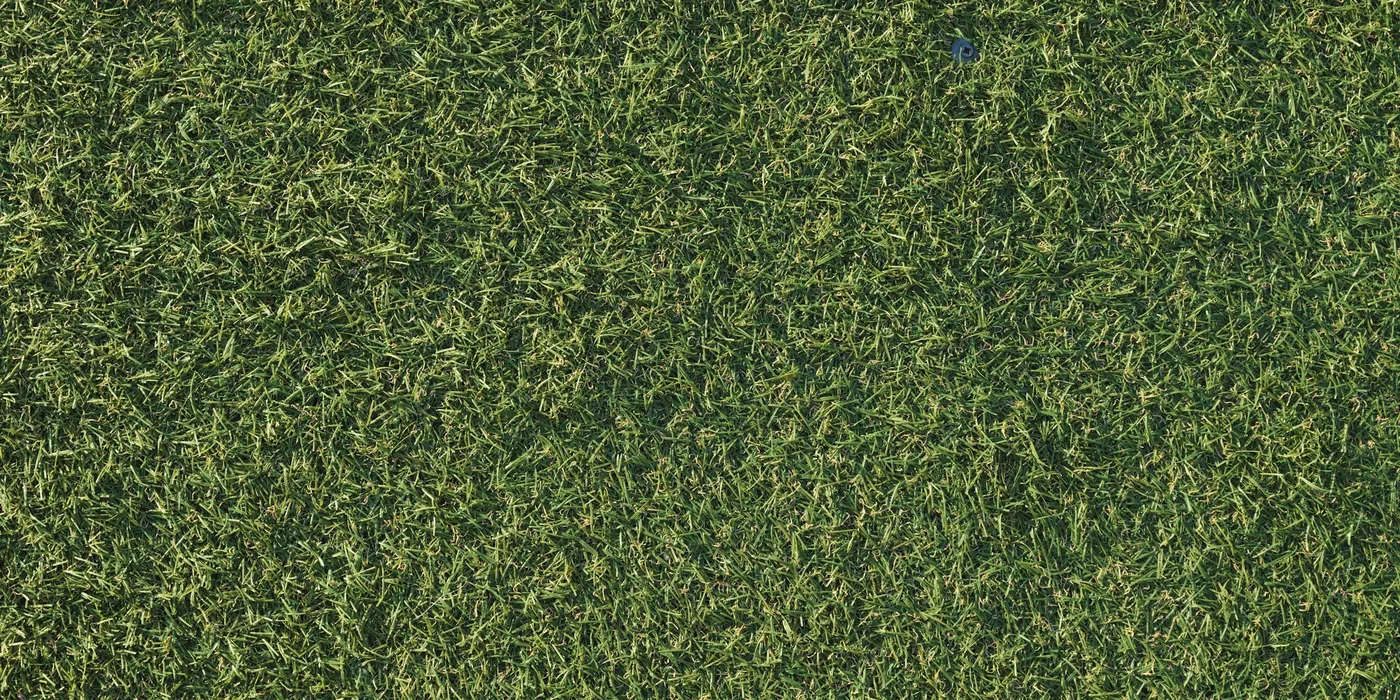 Artificial grass with a dull, mottled surface