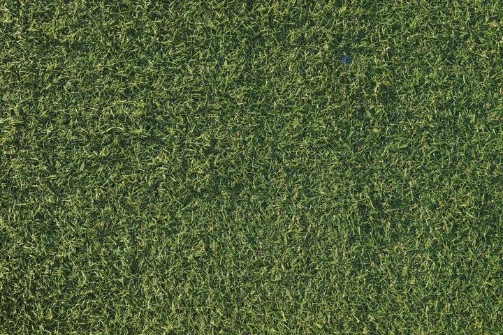 Artificial grass with a dull, mottled surface
