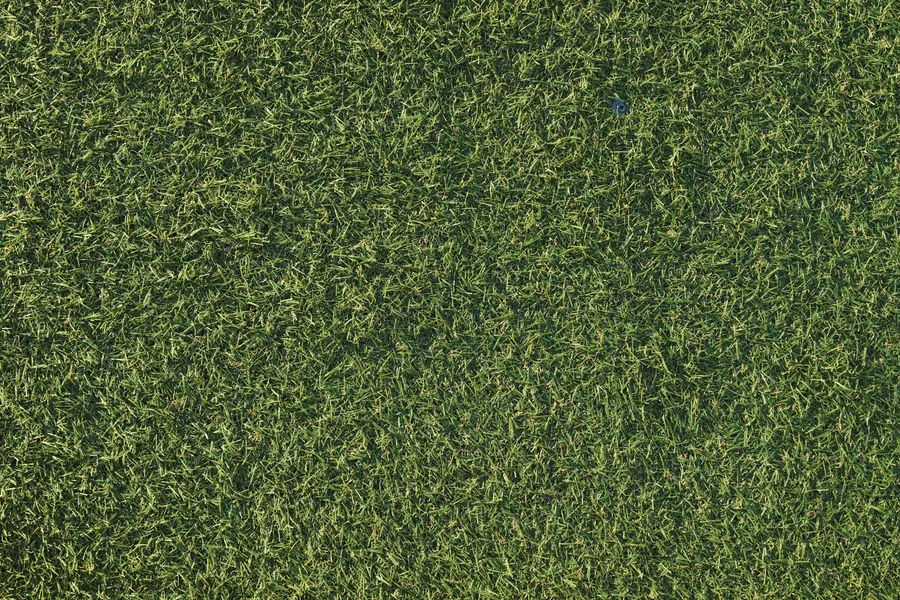 Artificial grass with a dull, mottled surface